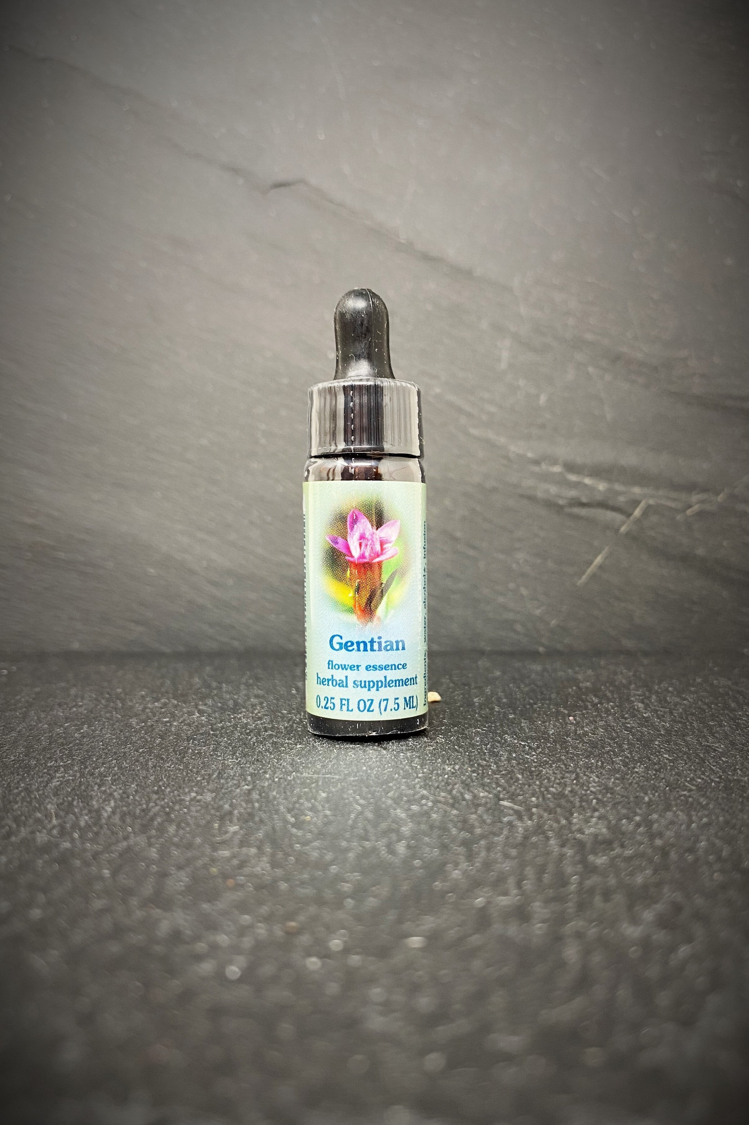 Gentian Flower Essence Herbiary