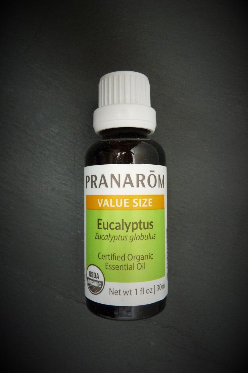 Eucalyptus globulus - 1 oz | Herbiary
